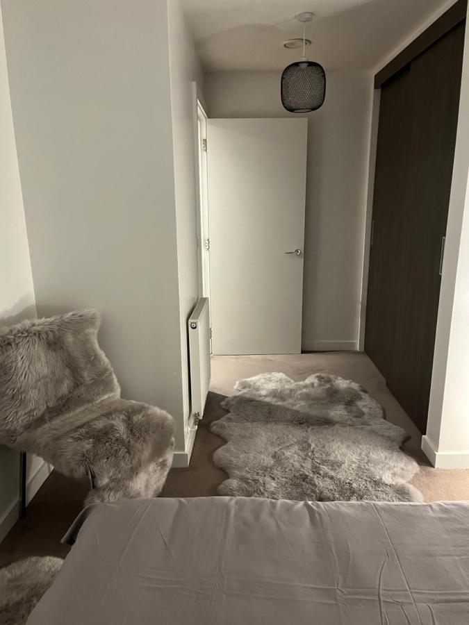 Luxurious Dlr Apartament *