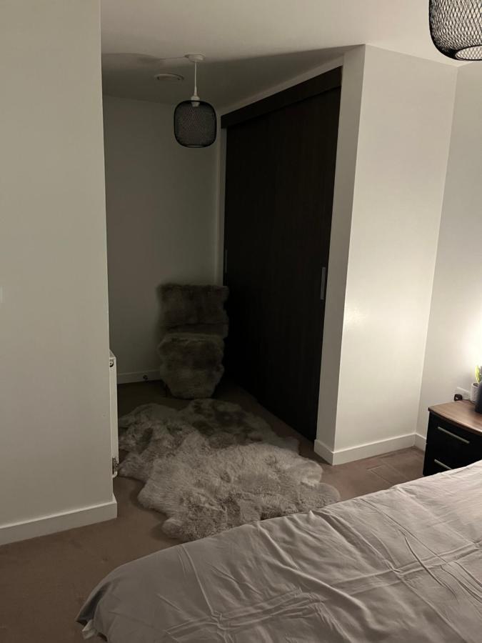Luxurious Dlr Apartament