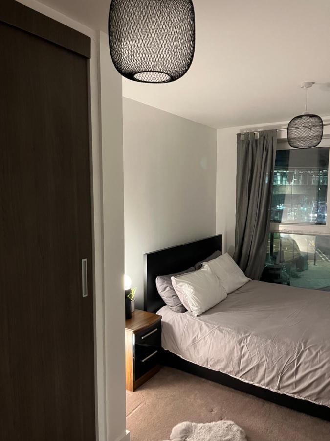 Luxurious Dlr Apartament